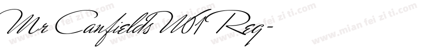 Mr Canfields W01 Reg字体转换